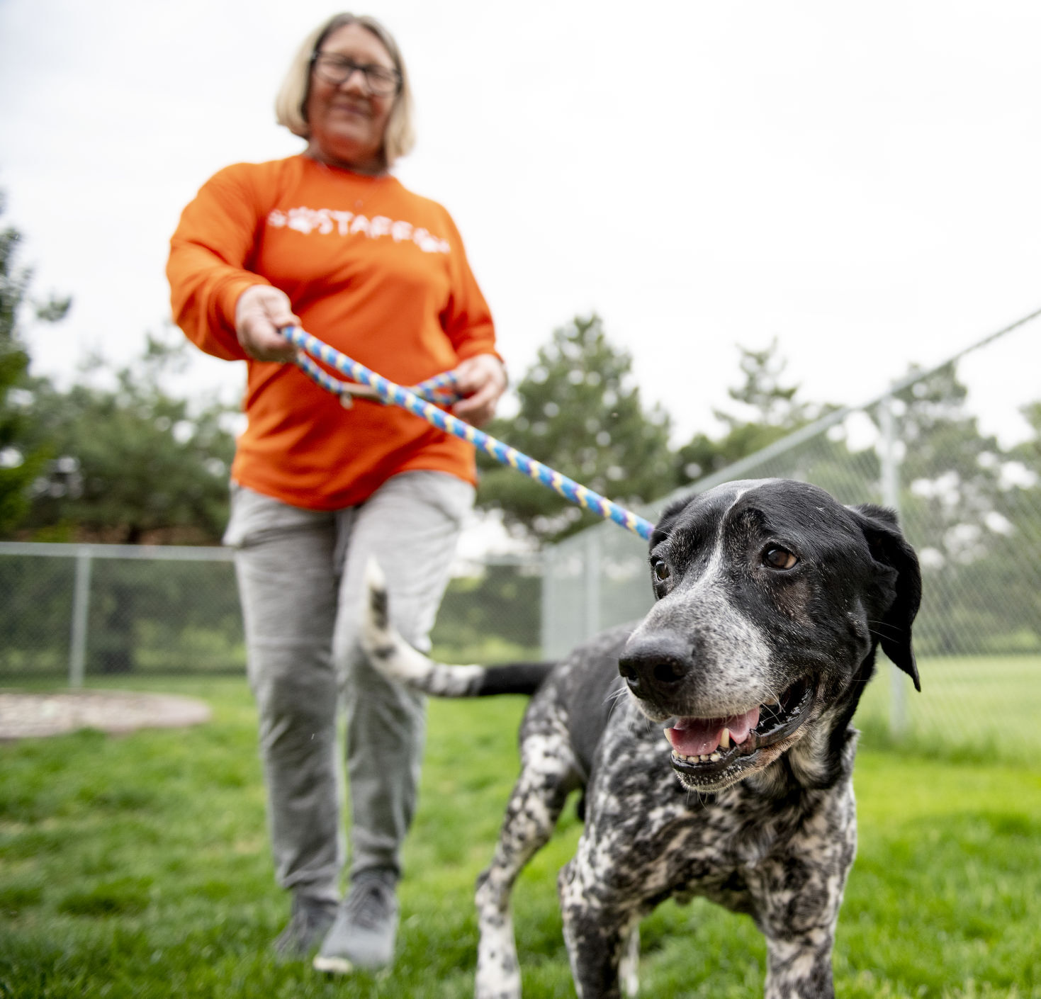 Siouxland Humane Society during COVID-19